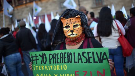 Une manfestation contre l'impact environnemental du projet de "train maya" à Mexico le 25 janvier 2019. (RODRIGO ARANGUA / AFP)