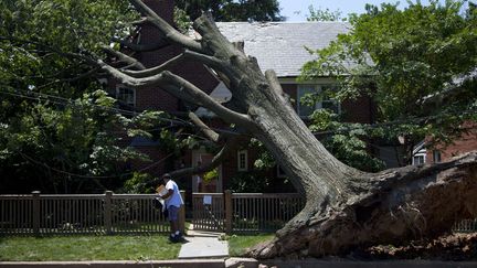 Apr&egrave;s le passage d'une temp&ecirc;te &agrave; Washington (Etats-Unis), le 2 juillet 2012. (EVAN VUCCI / AP / SIPA)