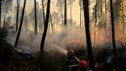 Des pompiers luttent contre le feu dans la forêt de&nbsp;Vidauban, dans le Var, le 18 août 2021. (NICOLAS TUCAT / AFP)