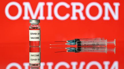 Le vaccin contre le Covid-19 et son variant Omicron. (JUSTIN TALLIS / AFP)