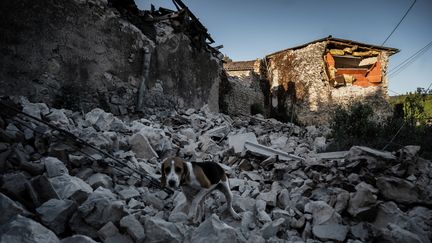 Ardèche : la vie reprend difficilement son cours au Teil après le séisme