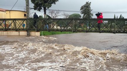 La tempête Gloria donne des allures de torrent à la Massane à Argelès-sur-Mer, le 22 janvier 2020. (RAYMOND ROIG / AFP)