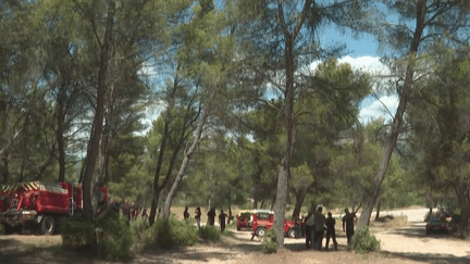 Incendies : alerte rouge aux feux de forêt dans le Var ce dimanche