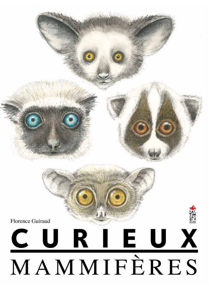 "Curieux mammifères, de F. Guiraud (SALTIMBANQUE EDITIONS)