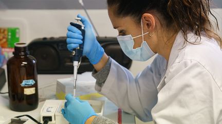 Une chercheuse travaillant sur un vaccin contre le Covid-19 dans un laboratoire de Valladolid (Espagne), le mardi 10 novembre 2020. (CESAR MANSO / AFP)