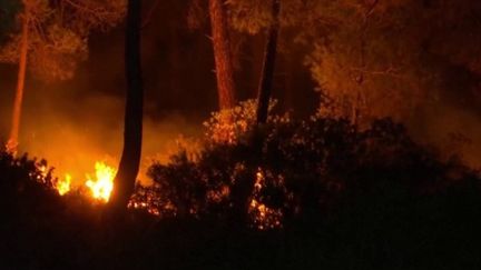 Incendies en Grèce : Rhodes, une île dans la fournaise (France 3)