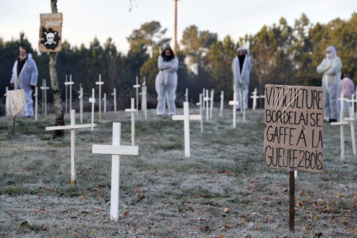 Des manifestants protestent contre l'utilisation de pesticides dans les vignes, le 4 décembre 2016 à Avensan (Gironde). (MEHDI FEDOUACH / AFP)