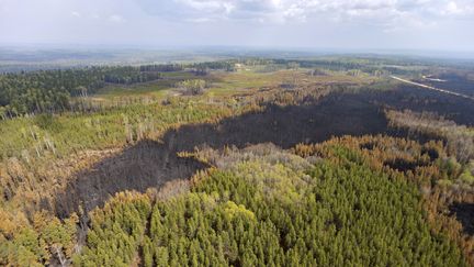 Les dégâts laissés par les incendies à Entrance, dans la province canadienne de l'Alberta, le 10 mai 2023. (MEGAN ALBU / AFP)