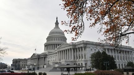 Le Capitole, siège de la Chambre des représentants et du Sénat américains, à Washington (Etats-Unis), le 10 décembre 2018.&nbsp; (MANDEL NGAN / AFP)