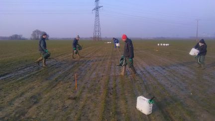 The Agro Paris Tech institute also conducted trials with farmers in the Paris region who used urine as fertilizer on December 12, 2019. (FANETTE BON / MAXPPP)