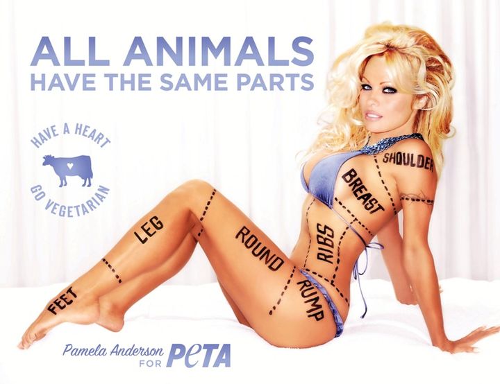 &nbsp; (© PETA)