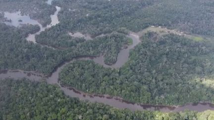 Réunis lors d'un sommet au Brésil, mardi 8 août, huit pays d'Amérique du Sud ont signé une déclaration commune afin de promouvoir la coopération régionale dans la lutte contre la déforestation en Amazonie. (France 2)