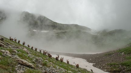 Les grandes terres d’Auvergne et leur paysage impressionnant