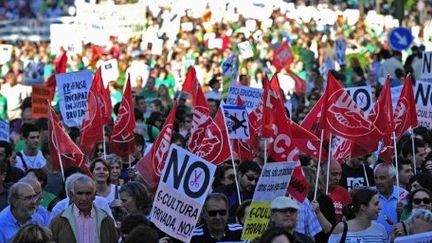 Manifestation contre la corruption à Madrid, le 18 janvier 2013. (AFP/Pedro Armestre)