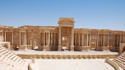 L'amphith&eacute;&acirc;tre de la cit&eacute; antique de Palmyre, dans le d&eacute;sert syrien, le 3 juin 2009. (CHRIS MELZER / DPA / AFP)