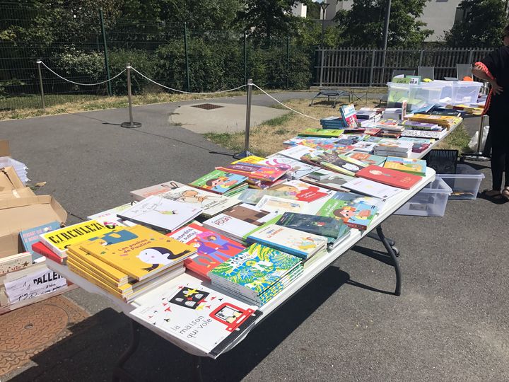 Les "Parcotruc(k)s" proposent aux enfants de repartir avec 2 ou 3 livres chacun.&nbsp; (Franceinfo / Marine Langlois)