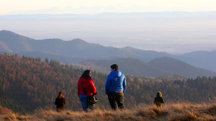 Pas de neige non plus sur le massif vosgien en Alsace, où des marcheurs admirent les Alpes Suisse depuis la station du Markstein, le 17 décembre 2015.&nbsp; (VINCENT VOEGTLIN / MAXPPP)