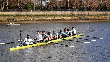 Depuis 1829, les universités d'Oxford et de Cambridge se lancent un défi sur la Tamise. (JEROME VAL / RADIOFRANCE)