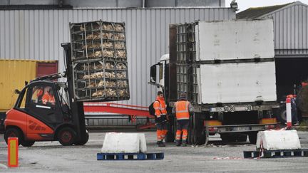 Des ouvriers déchargent des poulets à l'usine Doux, le 23 mars 2018, à Chateaulin (Finistère). (FRED TANNEAU / AFP)