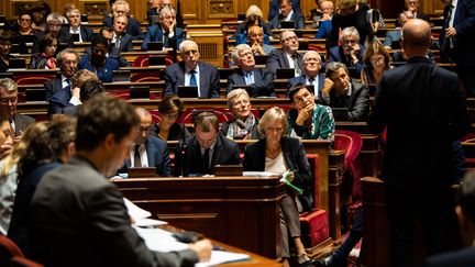 L'hémicycle du Sénat lors d'une séance de questions au gouvernement, le 16 octobre 2019. (XOSE BOUZAS / AFP)