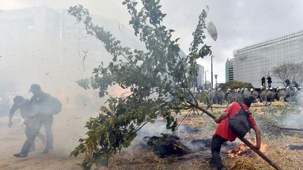 Un agriculteur d&eacute;racine un arbre devant le si&egrave;ge de la Commission europ&eacute;enne. (ERIC VIDAL / REUTERS)