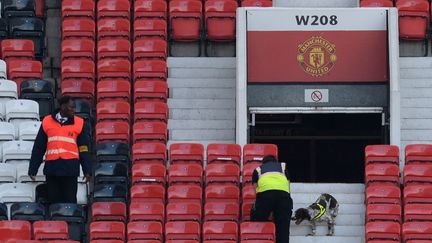 Un chien explore les tribunes du stade Old Trafford à Manchester (Royaume-Uni), après la découverte d'un colis suspect, le 15 mai 2016. (OLI SCARFF / AFP)