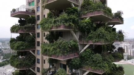 Un immeuble végétalisé du&nbsp;"Jardin forestier de Qiyi City" à Chengdu, en Chine. (AFP)