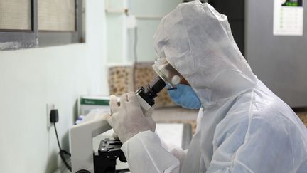 Un chercheur en équipement de protection observant au microscope des cellules porteuses du Covid-19 dans un laboratoire de Taez, au Yemen, le 30 avril 2020.&nbsp; (AHMAD AL-BASHA / AFP)