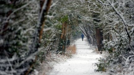 Un homme marche dans le bois&nbsp;Chenu, à Proville (Nord). (PASCAL ROSSIGNOL / REUTERS)