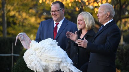 Le président américain Joe Biden gracie une dinde, à Washington (Etats-Unis) le 19 novembre 2021 (OLIVIER DOULIERY / AFP)