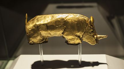 Le "rhinocéros d'or" montré à l'université de Pretoria (Afrique du Sud) en septembre 2015. Cet objet, retrouvé dans les années 1930, aurait été fabriqué dans le nord du pays entre 1220 et 1290 de notre ère. (STEFAN HEUNIS / AFP)