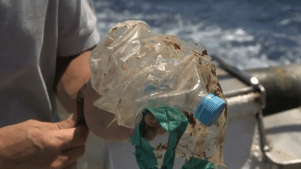 Thalassa : comment les déchets des océans deviennent des vêtements