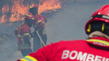 Huit pompiers, qui se battent pour éteindre l'incendie, ont été blessés.&nbsp; (PAULO CUNHA / LUSA)