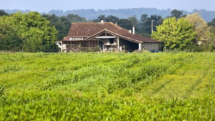 Agriculture biologique : le pari de la qualité