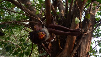 Un ermite indien réalise une posture de yoga dans un arbre, à Allahabad, en Inde, toujours le 21 juin 2016. (RITESH SHUKLA / NURPHOTO / AFP)