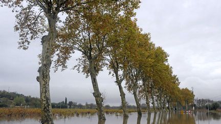 Lundi 7 novembre, pr&egrave;s de 3.000 foyers &eacute;taient toujours priv&eacute;s de courant dans le secteur de Saint-Rapha&euml;l, Fr&eacute;jus, Le Muy et Roquebrune-sur-Argens. (VINCENT DAMOURETTE / SIPA)