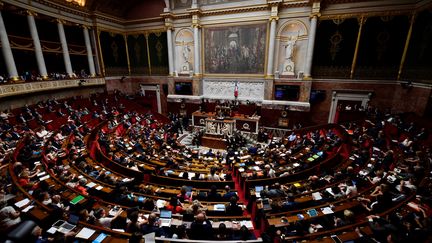 Les députés à l'Assemblée nationale, à Paris, le 31 juillet 2018. (GERARD JULIEN / AFP)