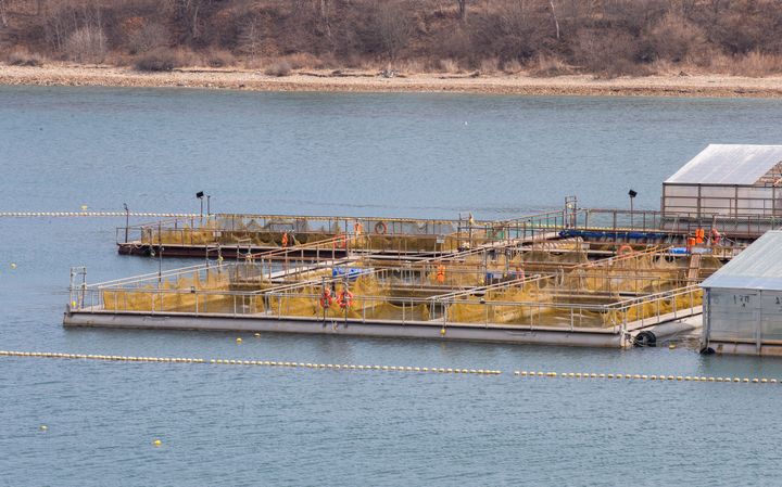 Une vue d'ensemble des bassins de la "prison des baleines", réalisée le 6 avril 2019, à Nakhodka, dans l'extrême-orient russe. (TATYANA MEEL / SPUTNIK / AFP)