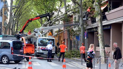 Un platane arrach&eacute; par le vent s'est abattu sur un immeuble &agrave; Lyon, sans faire de victimes, le 16 septembre 2015. (  MAXPPP)