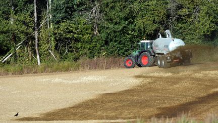 Dans la Sarthe, les agriculteurs qui ne peuvent pas irriguer commenceront à ensiler du maïs fourrager la semaine prochaine (photo d'illustration, 28 juillet 2020). (JEAN-FRANCOIS MONIER / AFP)