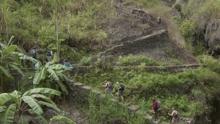 Cap-Vert : à la découverte de l'île de Santo Antão