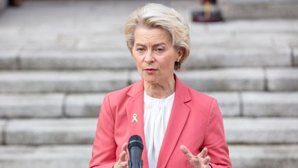 La présidente de la Commission européenne, Ursula von der Leyen à Dublin (Irlande), le 1er décembre 2022. (PAUL FAITH / AFP)