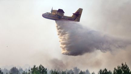 Un Canadair déverse de l'eau sur un feu de forêt à Landiras, le 13 juillet 2022. (LAURENT THEILLET / AFP)