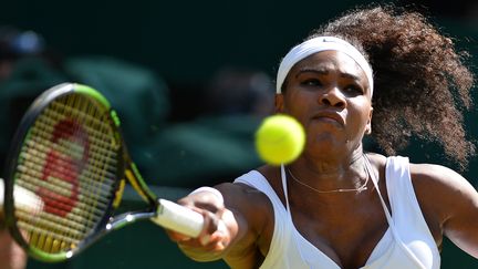 Toute la rage de Serena Williams  (GLYN KIRK / AFP)