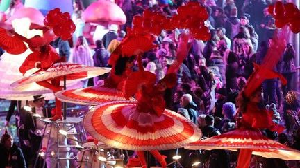 Parade du Carnaval de Nice 2017
 (VALERY HACHE / AFP)