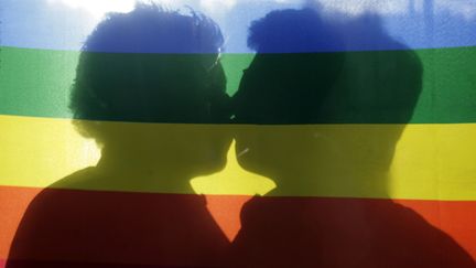 Un premier bilan de la mission contre les discriminations homophobes est attendu pour mars 2013. (EDU LEON / GETTY IMAGES)