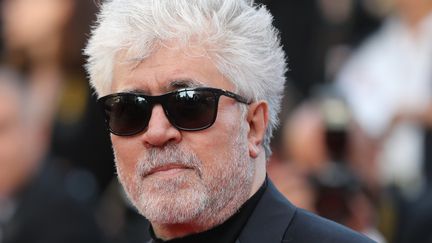 Le réalisateur espagnol Pedro Almodóvar à Cannes, dont il préside le jury cette anné (23 mai 2007)
 (Valery Hache / AFP)