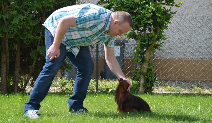 Alban et son chien Bob, dans son jardin, &agrave; Laon (Aisne). (YANN THOMPSON / FRANCETV INFO)