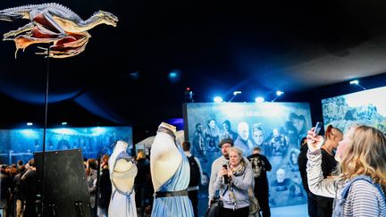 Exposition "Game of Thrones" à Stockholm
 (JONATHAN NACKSTRAND / AFP)