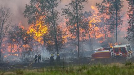 Une forêt brûle, le 15 septembre 2022 à Nonac (Charente). (MAXPPP)